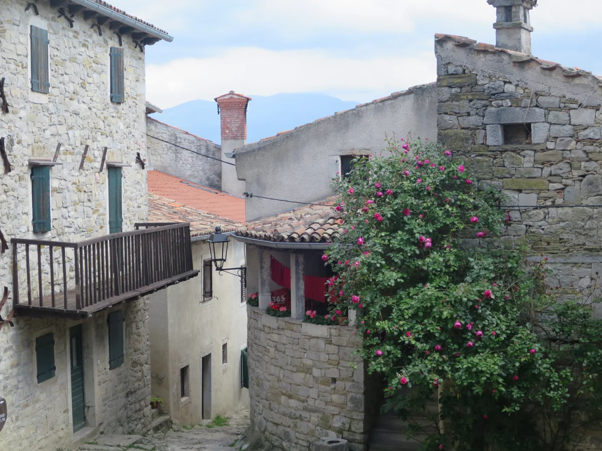 Stone houses and climbing roses in Hum